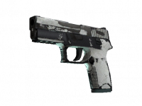 P250 Whiteout